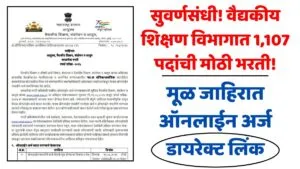 DMER Bharti 2025