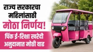 pink e rickshaws increased Subsidy